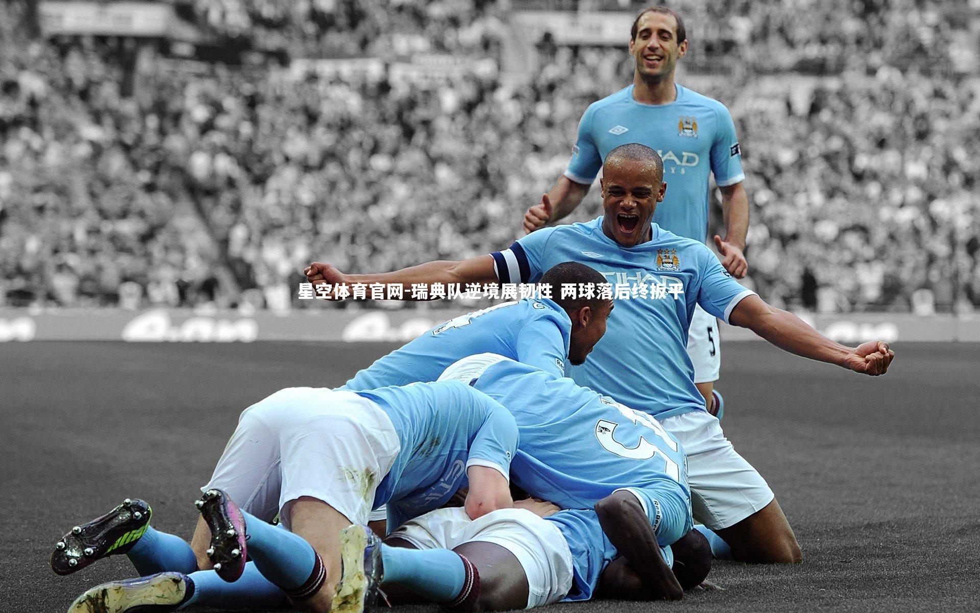 瑞典队逆境展韧性 两球落后终扳平